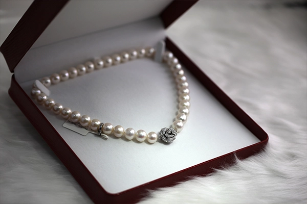 magnifique collier