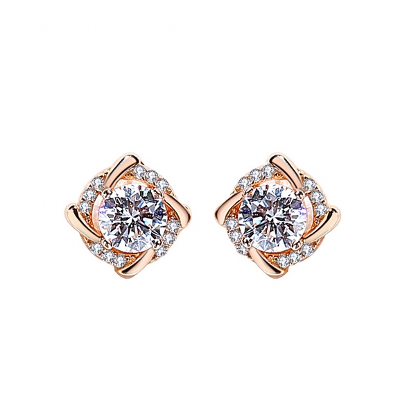 925 Sterling silver earring (13)