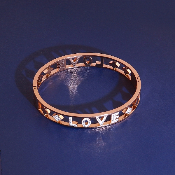 stainless steel bangle(31)