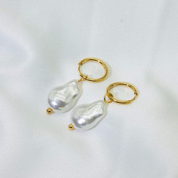 stainless steel earring (66)