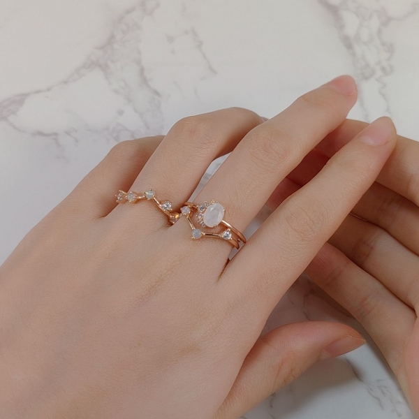 stainless steel ring (137)
