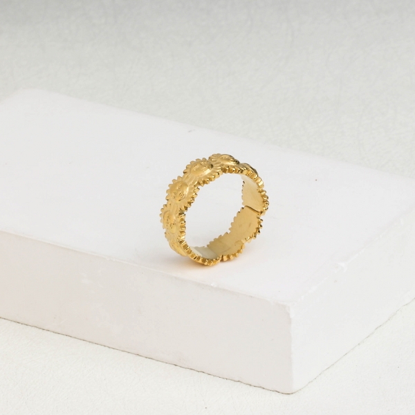 anillo de acero inoxidable (138)