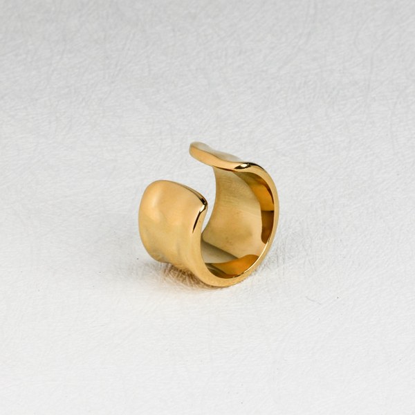 stainless steel ring (138)