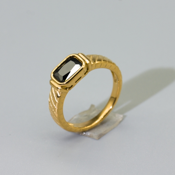 stainless steel ring (97)