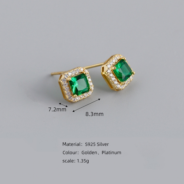 925 Sterling silver earring (203)