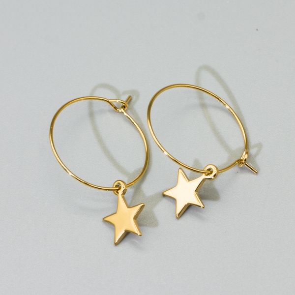 stainless steel earring (77)