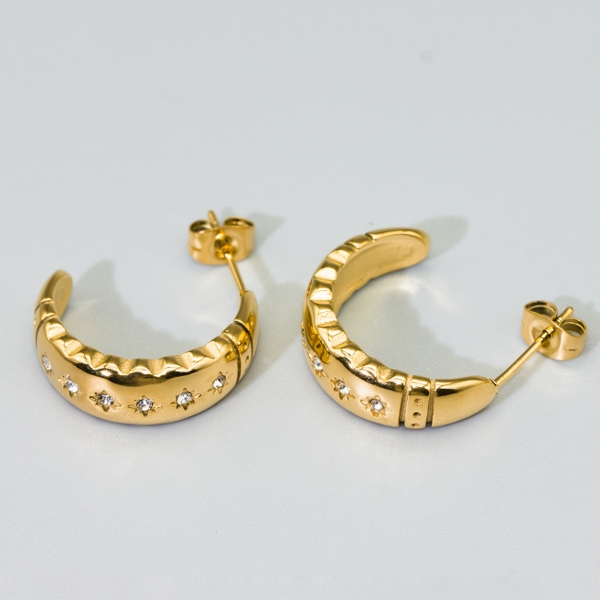 stainless steel earring (80)