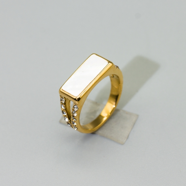 stainless steel ring(191)