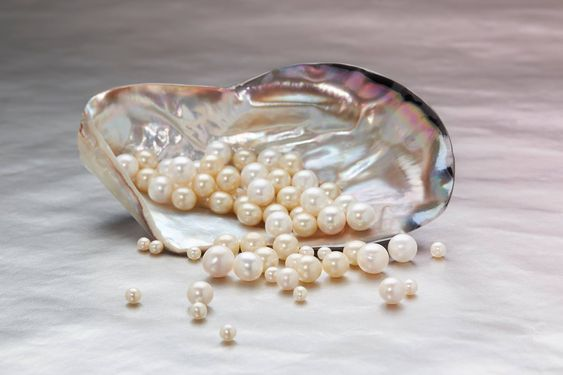 piles of pearls in the seashell